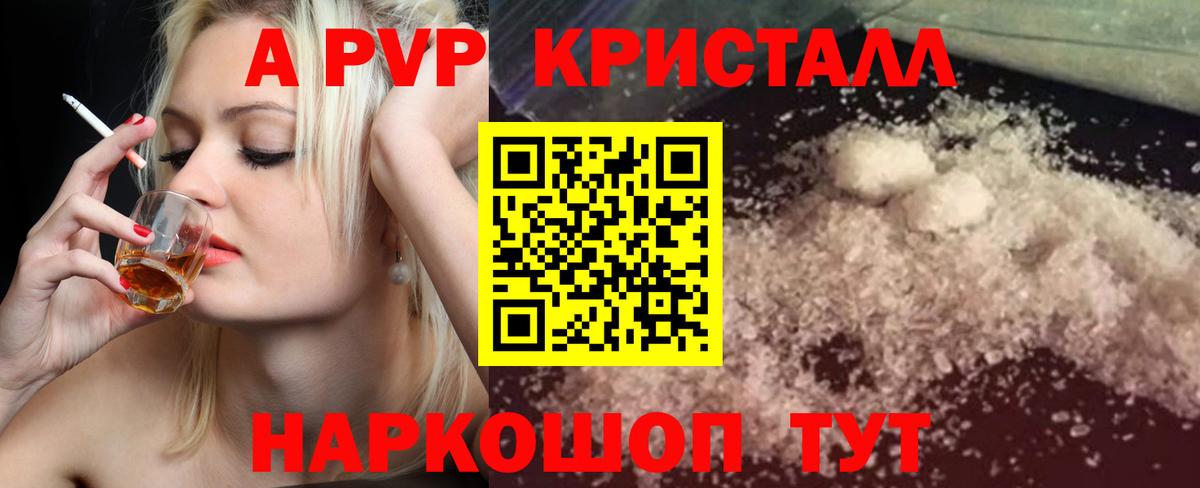 Alfa_PVP СК Камень-на-Оби