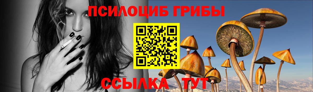 Камень-на-Оби  Псилоцибиновые грибы Cubensis  Вход с VPN 